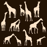 Fototapeta Konie - Giraffe Silhouette Set