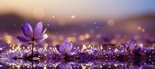Radiant Purple, Violet, And Gold Glitter Bokeh Background With Captivating Shining Texture