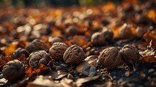Nurturing Nature's Treasures: A Cluster Of Walnuts Among The Leaves - AI Generative