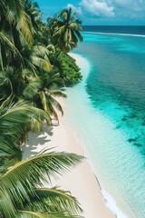 Wall Mural - Tropical white sand beach with beautiful seascape on sunny day, drone view