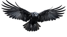 A Midnight Black Raven During Flight. Cutout Isolated On A Transparent Background. PNG - AI Generative