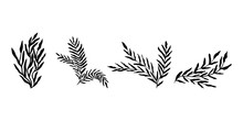 Abstract Leaves. Hand Drawn Black Plants. Vector Foliage Silhouettes. Natural Organic Ornament.