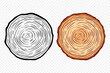 Tree Rings, Oak and Pine Slices, Lumber, and Timber Cross Section with Saw Cut Detail. Tree Trunk, Wood Log, Pine, Oak Slices, Lumber, Cut Timber. Hand Drawn, Design Element