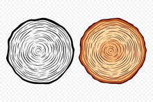 Tree Rings, Oak And Pine Slices, Lumber, And Timber Cross Section With Saw Cut Detail. Tree Trunk, Wood Log, Pine, Oak Slices, Lumber, Cut Timber. Hand Drawn, Design Element