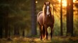 Majestic Horse in Forest at Sunset
