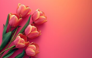 Wall Mural - Tulips flower banner, March 8 Women's day, space for text