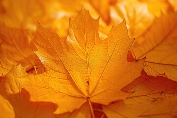 Poster - A close-up view of a bunch of vibrant yellow leaves. Perfect for autumn-themed designs and nature-related projects