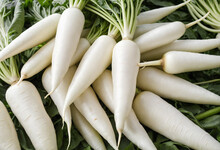 White Carrot For Sell In The Market. Ho Chi Minh City, Viet Nam