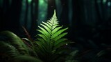 Fototapeta Las - Green Fern Leaves in Shadow Forest AI Generated