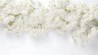 Small white gypsophila flowers on white background. Women's Day, Mother's Day, Valentine's Day, Wedding concept. Flat lay. Top view. Copy space