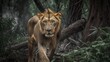 lion looking at the camera surrounded by green trees, concept of Majestic and Nature.