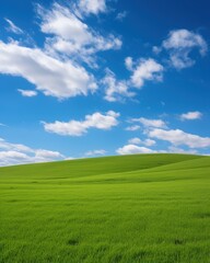 Wall Mural - Green rolling hills under a blue sky