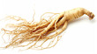 Full ginseng plant root lying on white background. Generative