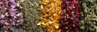 assortment of dry tea, healing herbs in with chamomile and essentials, panorama backgrounds banner.