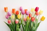 Fototapeta Tulipany - A simple composition with bright tulips on a white background, highlighting their beauty and freshness