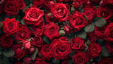 Fototapeta Kwiaty - A large red roses at a wedding