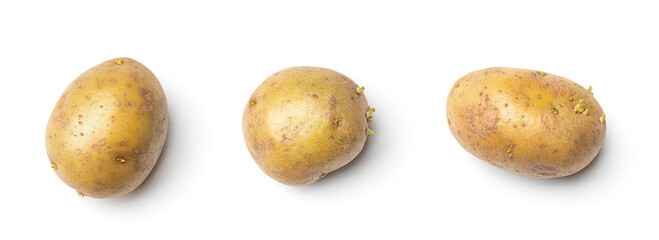 Wall Mural - Potato collection isolated on white