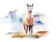Llama Standing in Field With Mountains in Background. Watercolor illustration.