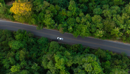 Poster - Aerial view of dark green forest road and white electric car Natural landscape and elevated roads Adventure travel and transportation and environmental protection concept