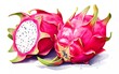 watercolor style dragon fruit, on white background. generative ai