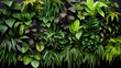 A beautifully arranged greenery wall with a diverse assortment of lush, vibrant plants, perfect for natural decor.