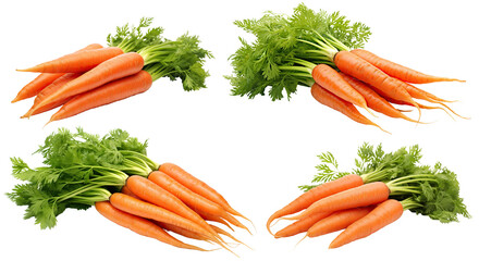 Wall Mural - Set of delicious carrots, cut out