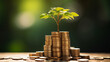 Tree growing on coins stack, sun flaire, bokeh background, AI