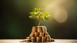 Tree growing on coins stack, sun flaire, bokeh background, AI