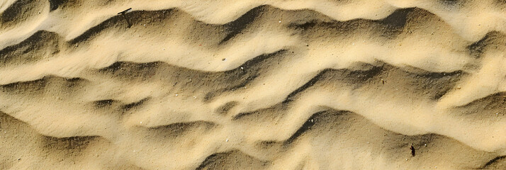 Canvas Print - sand texture background