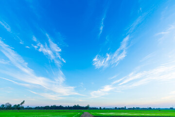 Wall Mural - beautiful airatmosphere bright blue sunset sky background abstract clear texture with white clouds.