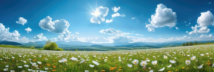 Wall Mural - Wide panorama of a meadow with spring flowers. Generative AI.