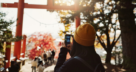 Wall Mural - Phone, travel and Japanese woman in nature for holiday, vacation and adventure in Japan. Happy, forest and person take picture on smartphone by trees for social media post, memories and online blog