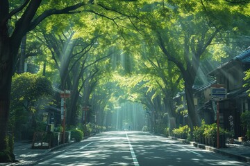 Wall Mural - The beautiful green of nature in cities professional photography