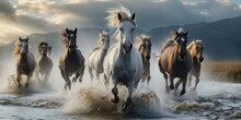 Herd Of Horses Running Through Water With Mountains In The Background
