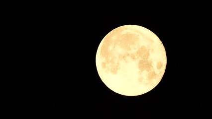 Wall Mural - A glowing golden huge full moon seen from earth through the atmosphere against a starry night sky. A large full moon moves across the sky, the moon moving from the left frame to the right.