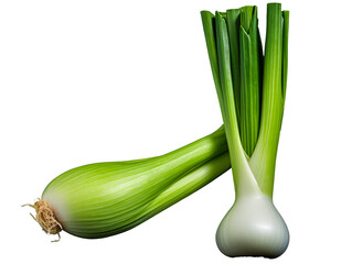 Wall Mural - green onion