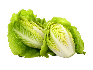 Sticker - cabbage isolated on white background