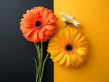 Orange And White Flowers On A Two-tone Yellow And Black Background