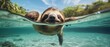 A sloth is swimming in the ocean, Ai Generated