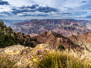 Wall Mural - Grand Canyon panorama in Arizona, USA