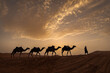 Silhouette of camel caravan with beautiful clouds in background in Sahara, Merzouga, Morocco