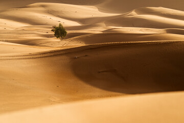 Colorful desert dunes with beautiful background in Sahara, Merzouga, Morocco