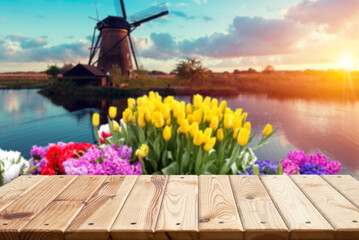 Wall Mural - Beautiful Dutch scenery with traditional windmills and tulip flowers foreground . High quality photo