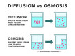 © Tasha Vector - Diffusion vs Osmosis. Solution transport process. Diffusion refers to solute move from high to low concentration. Osmosis refers to solvent move from low to high concentration. Vector illustration.