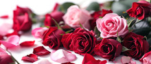 A Bunch Of Pink And Red Roses, Scattered Petals On A White Table. Wide Scale Image With Copyspace.	