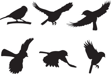 Sticker - bird silhouette, tit set vector