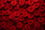 Fototapeta Kwiaty - Close up, top view bouquet of red roses. Blooming rose, flower blossom and Valentine’s Day gift concept. Gorgeous luxury bouquet of red roses. flower background.