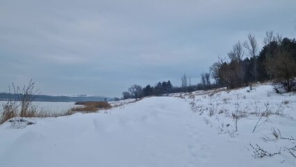 Wall Mural - Wintertime landscape with snowdrifts near the forest and the frozen lake