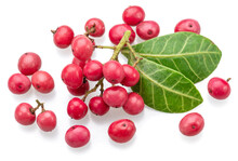 Fresh Pink Peppercorns And Green Leaves Isolated On White Background.
