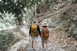 © itchaznong - Happy LGBT Lesbian couple Travelers Hiking with Backpacks in forest Trail. LGBT Lesbian Couple Hikers with backpacks walks in mountains in vacation
